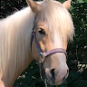 Meet your Posher, Kathrine